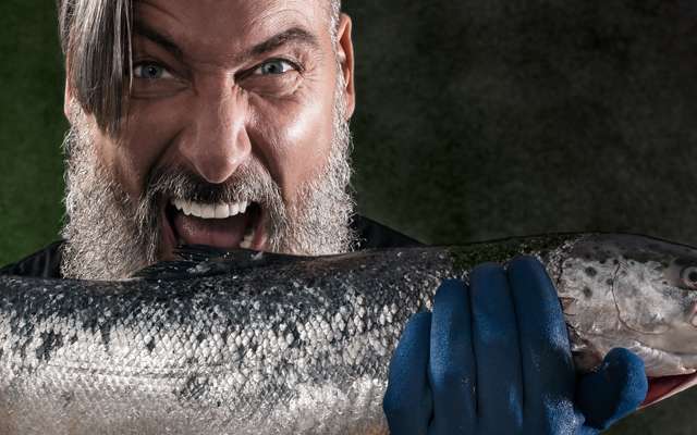 Food Kategorien Naesseschutz